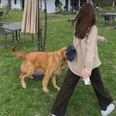 江湖龙女